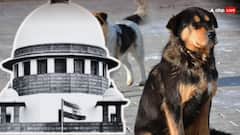 'क्रूर होने की जरूरत नहीं', सिब्बल की दलील पर बोला SC- आपको कुत्तों के दिमाग का पता है, कब कौन सा काटेगा?