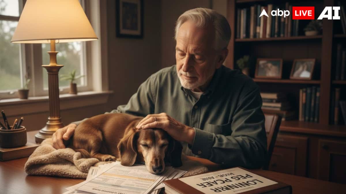 (Image Source: ABPLIVE AI)