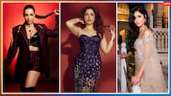 बॉलीवुड की सबसे महंगी आइटम गर्ल कौन ? तमन्ना भाटिया से मलाइका अरोड़ा और कैटरीना तक कौन कितना करती हैं चार्ज?