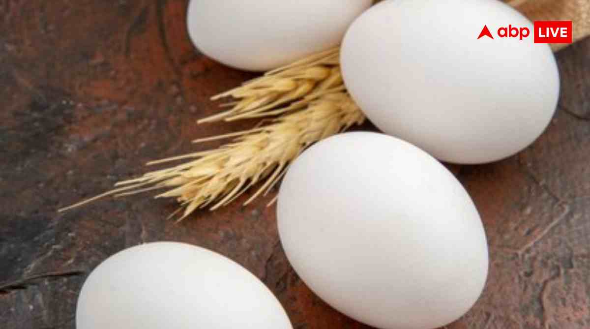 उबालने के बाद कितने दिन तक खा सकते हैं अंडा, जान कब हो जाता है खराब?