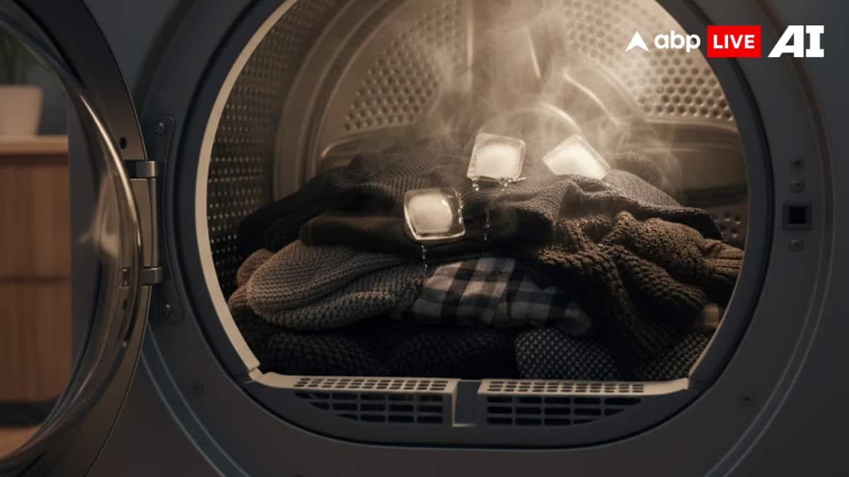 (Image Source: ABPLIVE AI)