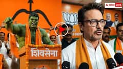 हल्क ने जॉइन की शिवसेना तो टोनी स्टार्क ने बीजेपी से भरी हुंकार, मजेदार वीडियो ने इंटरनेट पर लगाई आग