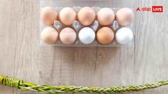 सर्दियों में उबले अंडे क्यों हैं हेल्थ का खजाना? जानें इनके चौंकाने वाले फायदे