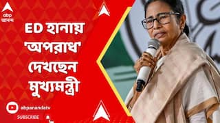 Mamata Banerjee : I-PAC কর্ণধারের বাড়ি-অফিসে ED হানা, 'অপরাধ' মনে করছেন মুখ্যমন্ত্রী