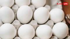 सर्दियों में उबले अंडे क्यों हैं हेल्थ का खजाना? जानें इनके चौंकाने वाले फायदे