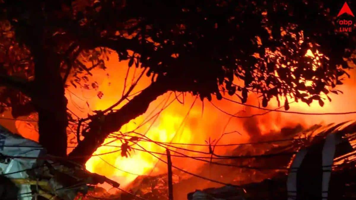 Bengal: Massive Fire Erupts Near Nonadanga Slum In Anandpur, Six Engines Deployed