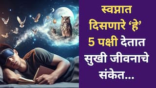 Dream Astrology : स्वप्नात 'या' 5 पक्षांचं दिसणं शुभकारक! सुखी, समृद्धी जीवनाचे मिळतात संकेत