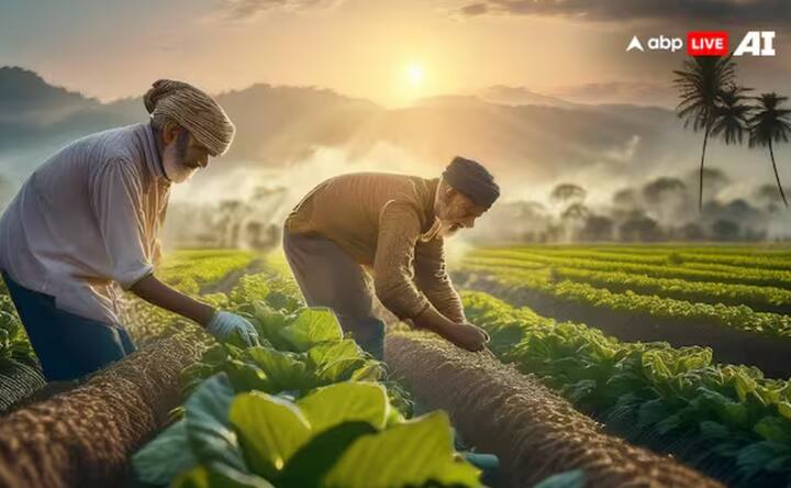 ਮਕਰ ਸੰਕ੍ਰਾਂਤੀ 'ਤੇ ਰੁੱਖਾਂ ਅਤੇ ਪੌਦਿਆਂ ਦੀ ਛਾਂਟੀ ਅਤੇ ਕੱਟ-ਛਾਂਟ ਤੋਂ ਵੀ ਪਰਹੇਜ਼ ਕਰਨਾ ਚਾਹੀਦਾ ਹੈ। ਇਸ ਦਿਨ ਇਨ੍ਹਾਂ ਗਤੀਵਿਧੀਆਂ ਨੂੰ ਅਸ਼ੁੱਭ ਮੰਨਿਆ ਜਾਂਦਾ ਹੈ। ਬਹੁਤ ਸਾਰੇ ਕਿਸਾਨ ਮਕਰ ਸੰਕ੍ਰਾਂਤੀ 'ਤੇ ਆਪਣੀਆਂ ਫਸਲਾਂ ਦੀ ਕਟਾਈ ਤੋਂ ਵੀ ਪਰਹੇਜ਼ ਕਰਦੇ ਹਨ।