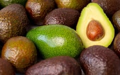 Blood Sugar Control Food: ફક્ત 7 દિવસમાં કંટ્રોલ થશે વધેલું બ્લડ શુગર, આ 7 વસ્તુઓને તમારા ભોજનમાં કરો સામેલ