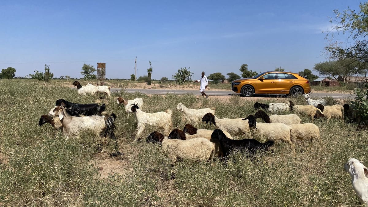 (Image Source: Twitter/@Renuks)