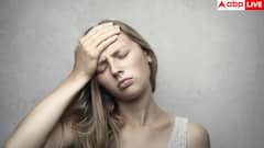 Typhoid Fever: टाइफाइड को लेकर मन में अक्सर रहते हैं ये भ्रम, इनकी वजह से भी बढ़ता है खतरा