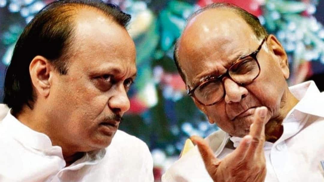 'Party Workers Are Happy': Ajit Pawar Says NCP Factions Together Before Elections 'Party Workers Are Happy': Ajit Pawar Says NCP Factions Together Before Elections