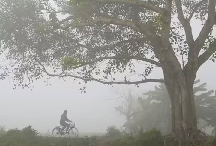 હવામાન વિભાગે આગામી 48 કલાક સુધી તાપમાનમાં કોઈ ફેરફાર ન થવાની આગાહી કરી છે. સિઝનમાં પ્રથમ વાર  નલિયામાં તાપમાનનો પારો 4.8 ડિગ્રી પર પહોંચી ગયો છે.