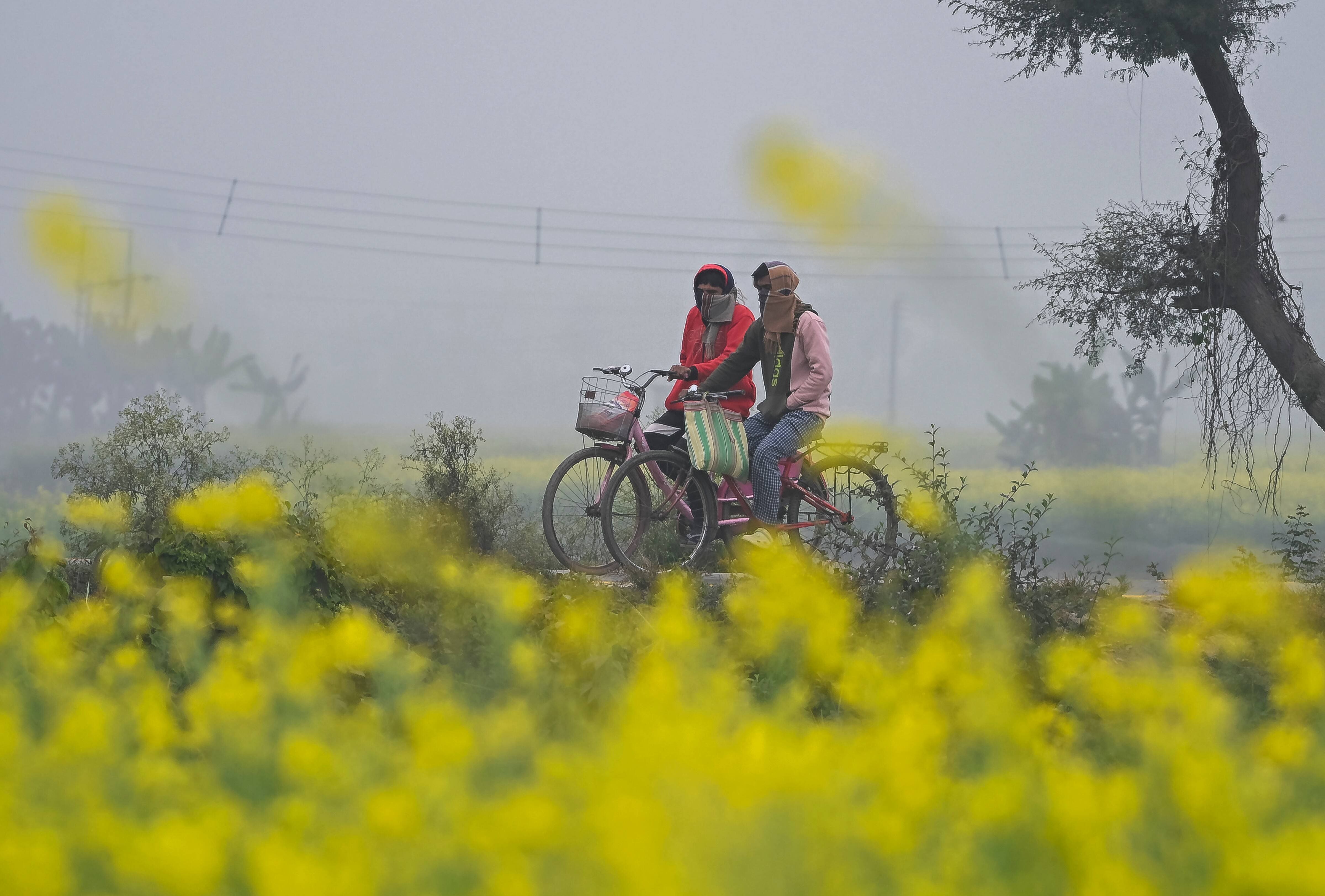 Weather Today: ভয়াবহ নিম্নচাপ তৈরি বঙ্গোপসাগরে, কনকনে শীতের মধ্যেই বৃষ্টি? খারাপ আবহাওয়ার হলুদ সতর্কতা কোন কোন জেলায়?