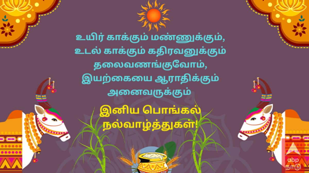 Happy Pongal 2026 Wishes: ஃப்ரெஷ்ஷான பொங்கல் வாழ்த்து.. ChatGPT வேணாம், இங்க பாருங்க- உங்க அன்பை பறக்கவிடுங்க!