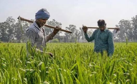 જો આ જરૂરી કાર્યો સમયસર પૂર્ણ નહીં થાય તો ₹2,000 નો આગામી હપ્તો તેમના ખાતામાં પહોંચે તે પહેલાં વિલંબ થઈ શકે છે. આ જ કારણ છે કે આ વખતે ખેડૂતો માટે સતર્ક રહેવું અત્યંત મહત્વપૂર્ણ છે.