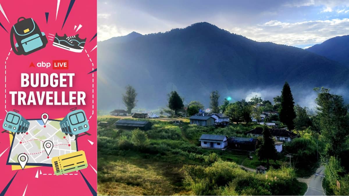 The Art of Baking: From Classic Bread to Artisan Pastries