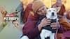 ABP Live Pet First | Meet Aloka, The Indian Dog On A Peace March That’s Captivating The Internet