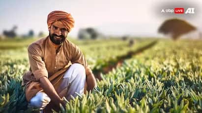 PM Kisan Yojana: શું આવતા મહિને આવશે 22મો હપ્તો? જાણો ખેડૂતોના ખાતામાં ક્યારે આવશે 2000 રુપિયા