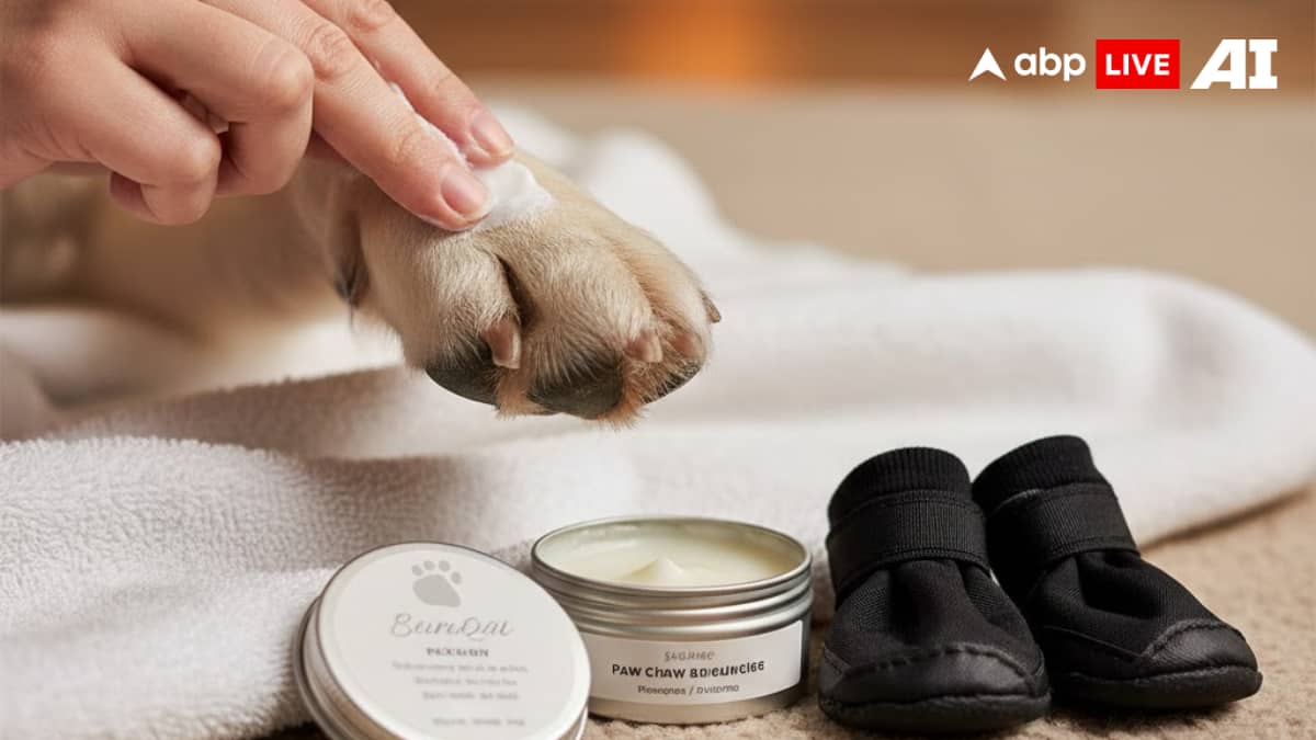 (Image Source: ABPLIVE AI)