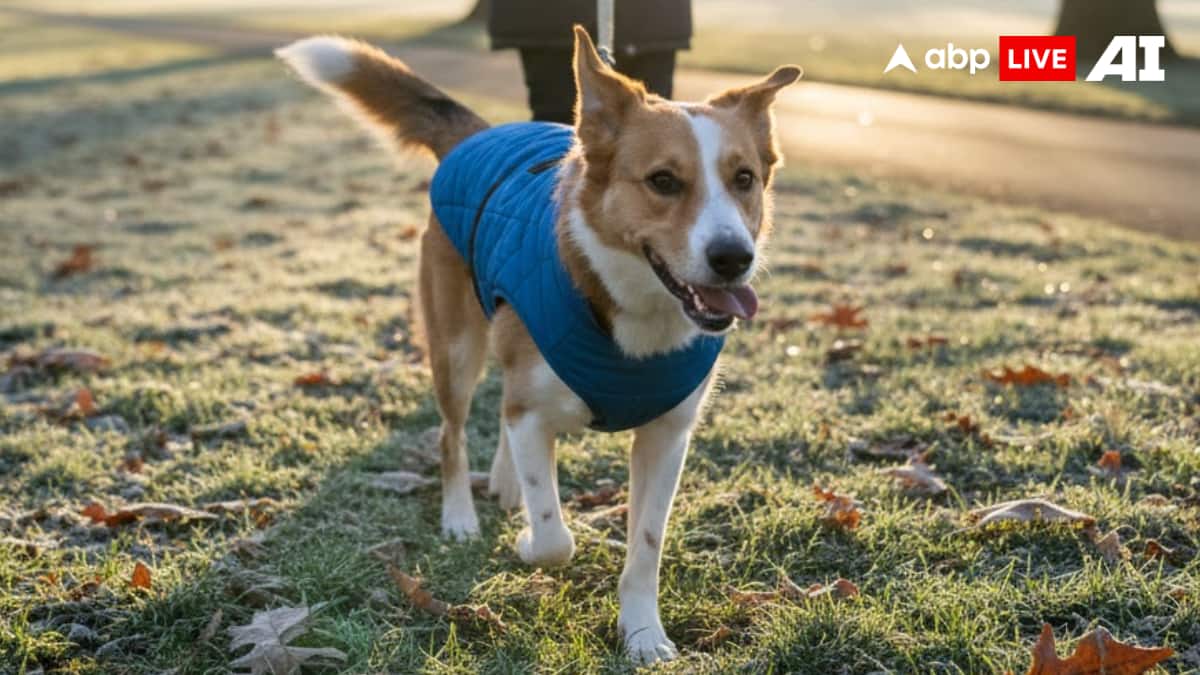 (Image Source: ABPLIVE AI)