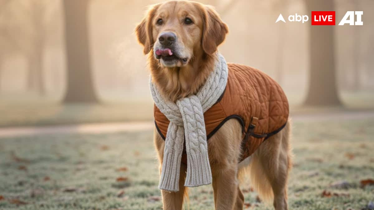 (Image Source: ABPLIVE AI)