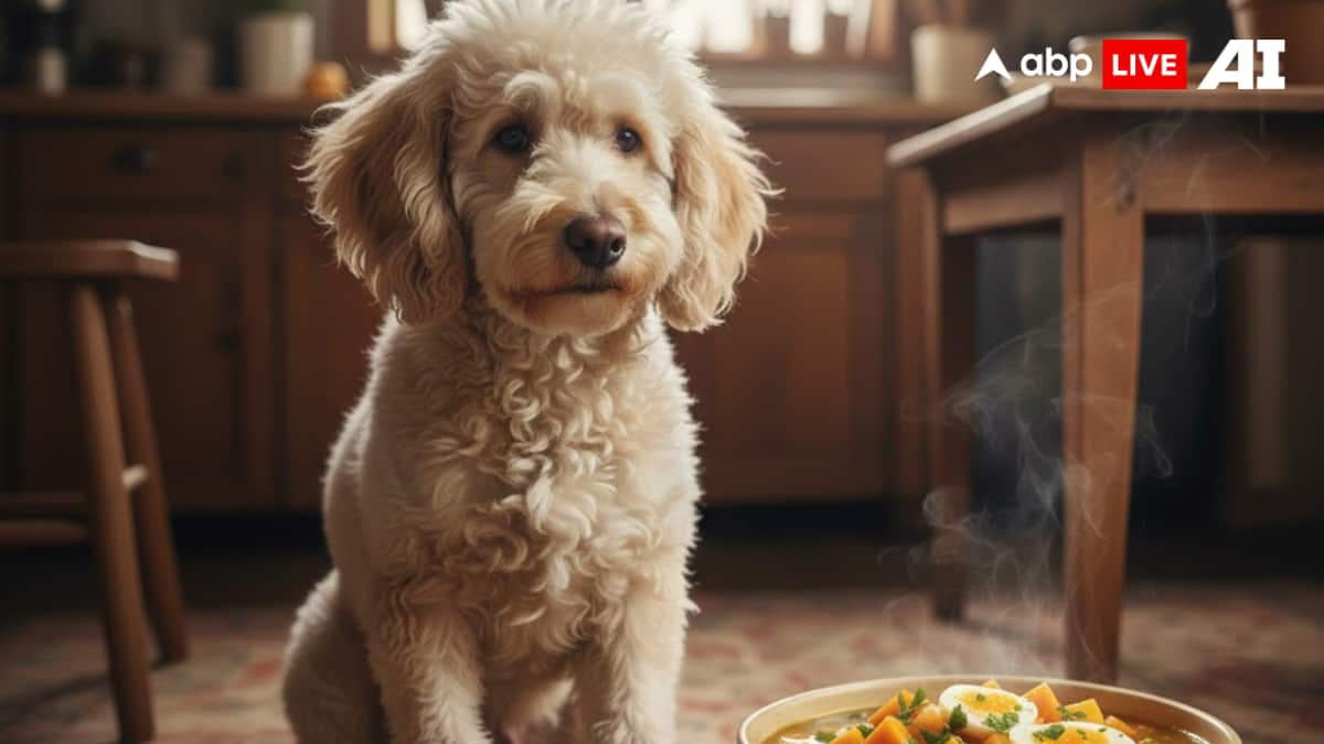 (Image Source: ABPLIVE AI)