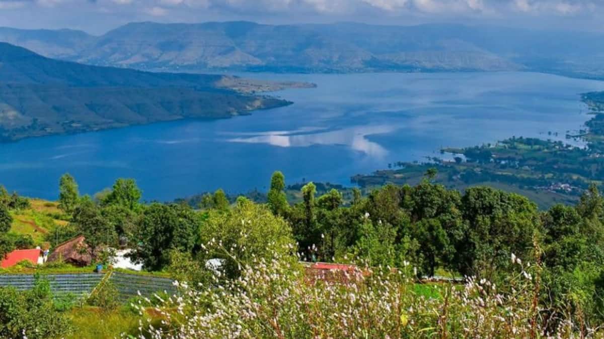 (Image Source: Pinterest/bhukhhad)