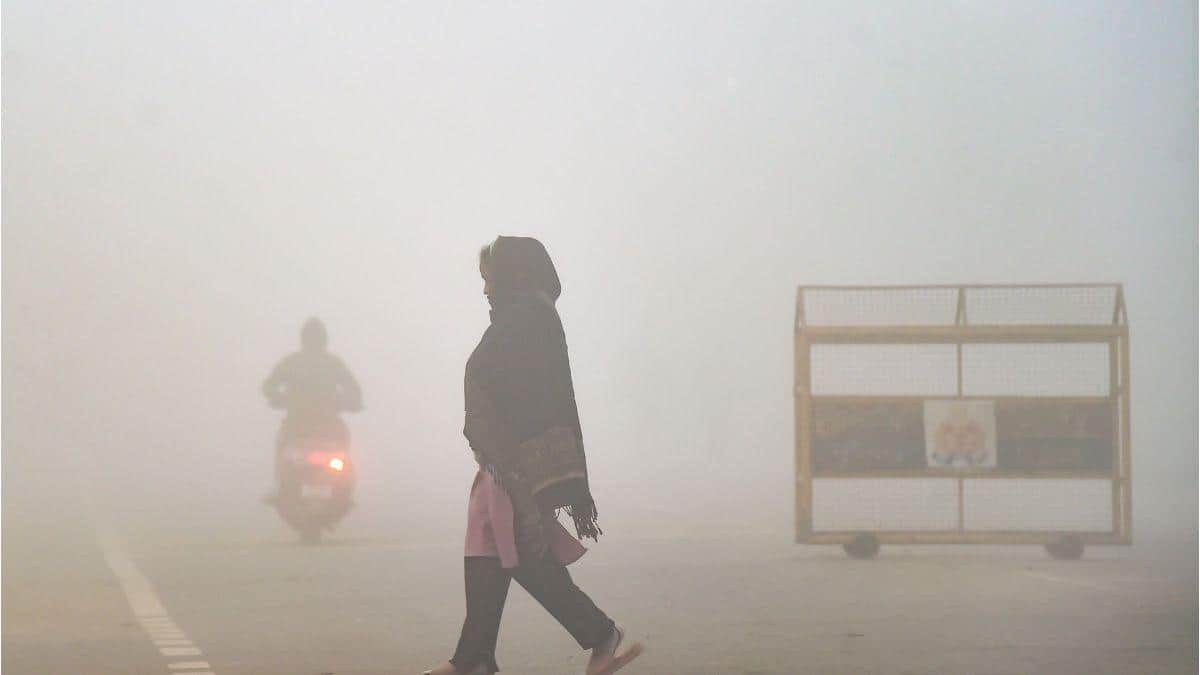 Severe Cold Tightens Grip On Delhi-NCR After Rain, IMD Issues Yellow Alert Till January 15