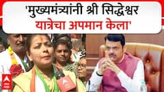 Praniti Shinde on BJP :  काँग्रेस खासदार प्रणिती शिंदेची देवेंद्र फडणवीस यांच्यावर सडकून टीका