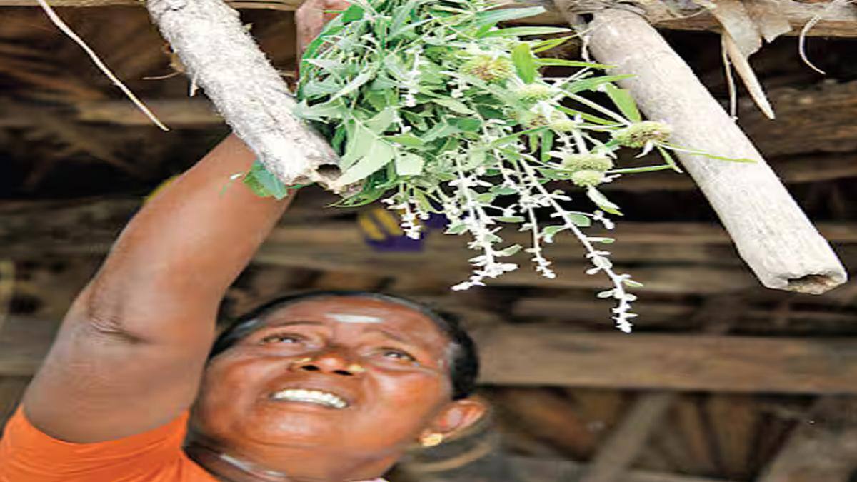 போகி பண்டிகை: காப்பு கட்டுவதன் ரகசியம்! ஏன் கொண்டாட வேண்டும்? அறியாத தகவல்கள்!