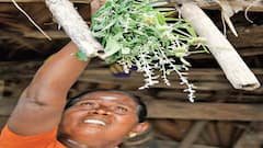 போகி பண்டிகை: காப்பு கட்டுவதன் ரகசியம்! ஏன் கொண்டாட வேண்டும்? அறியாத தகவல்கள்!