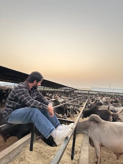 Sonu Sood : सोनू सूदकडून गुजरातमधील गोशाळेला मोठी देणगी; वासराला जवळ घेत म्हणाला...