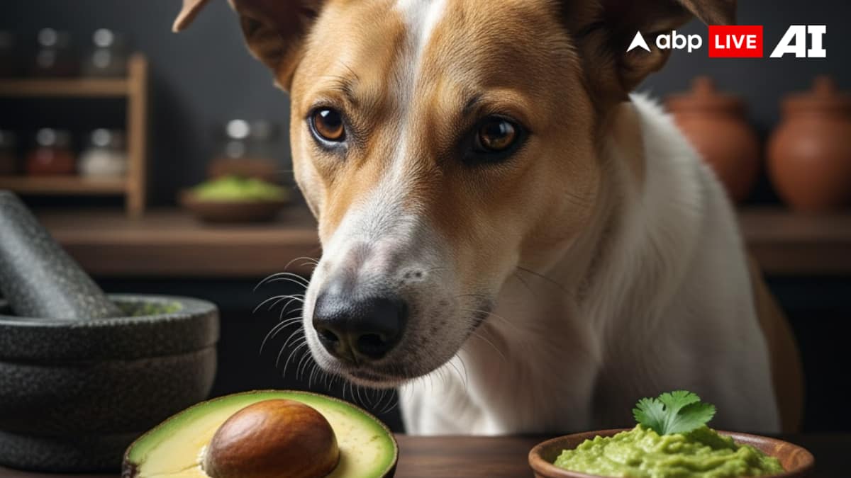 (Image Source: ABPLIVE AI)