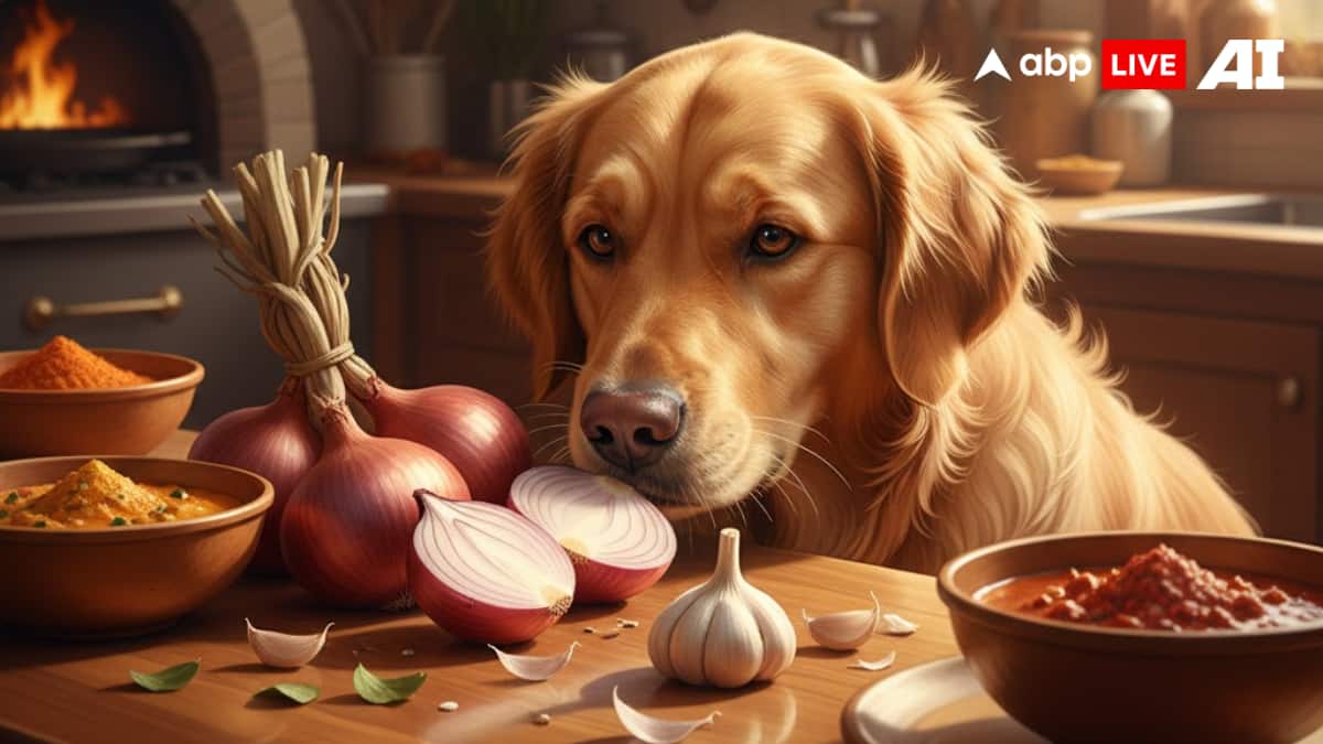 (Image Source: ABPLIVE AI)