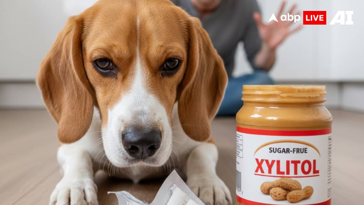 (Image Source: ABPLIVE AI)