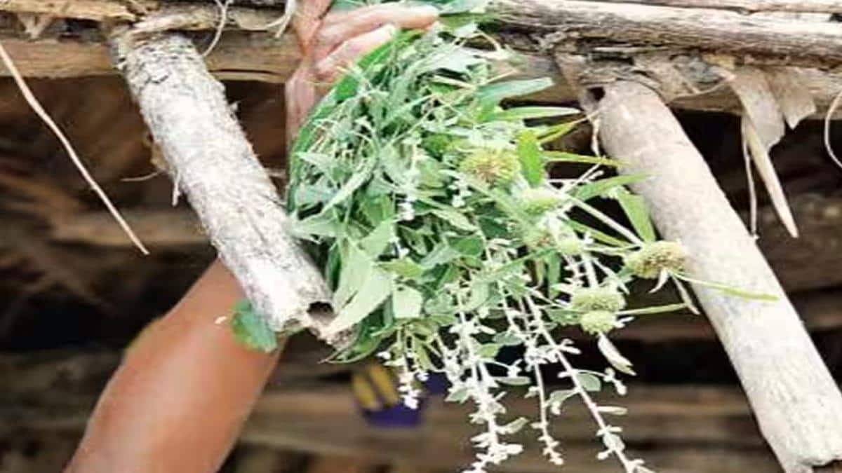 போகி பண்டிகை: காப்பு கட்டுவதன் ரகசியம்! ஏன் கொண்டாட வேண்டும்? அறியாத தகவல்கள்!