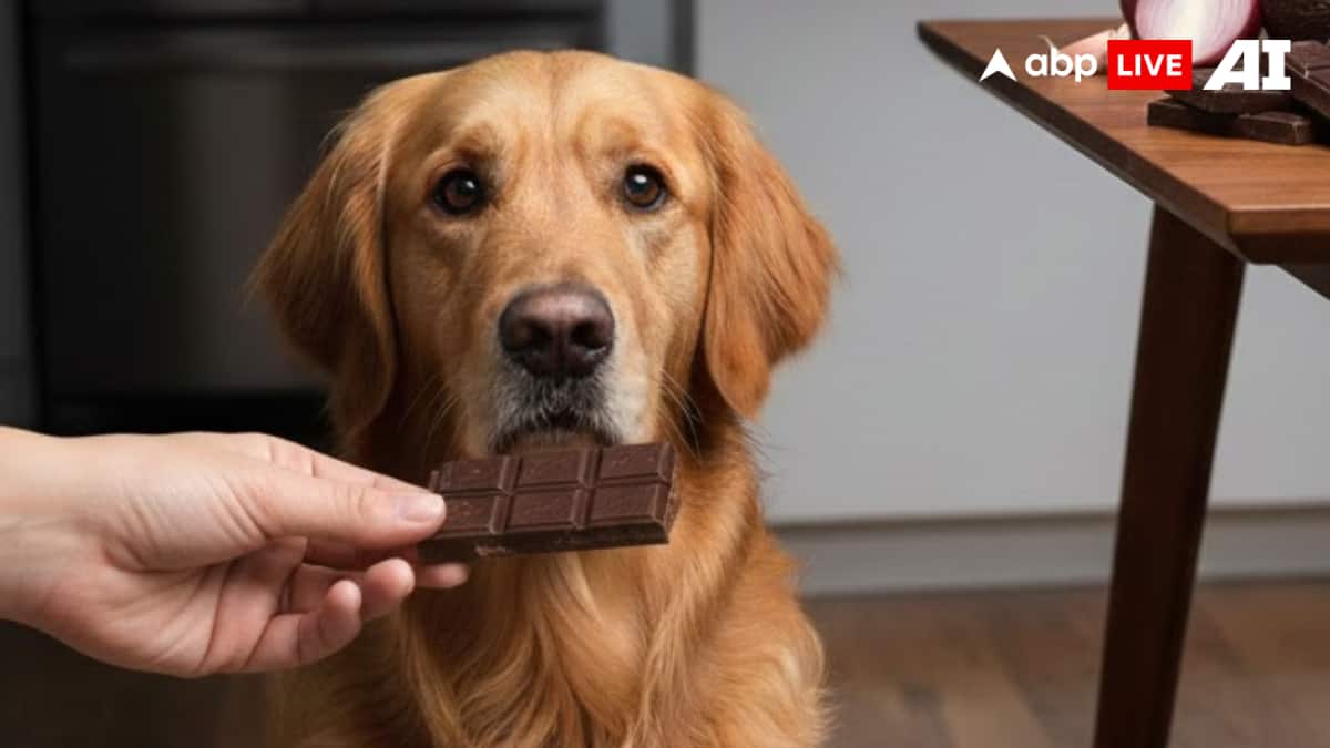 (Image Source: ABPLIVE AI)