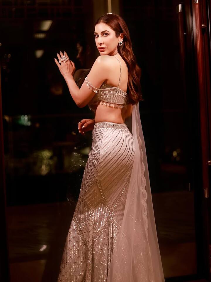 (તમામ તસવીરો સોફી ચૌધરી ઈન્સ્ટાગ્રામ)