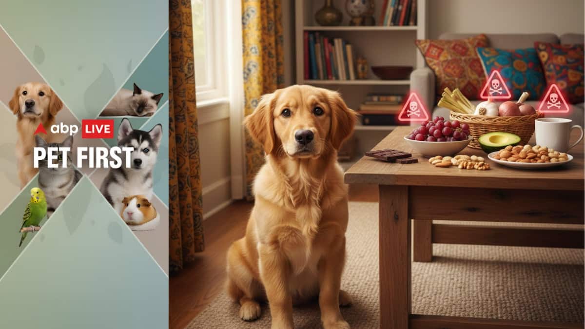 ABP Live Pet First: 8 Human Foods That Are Poisonous For Dogs