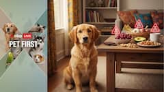 ABP Live Pet First: 8 Human Foods That Are Poisonous For Dogs