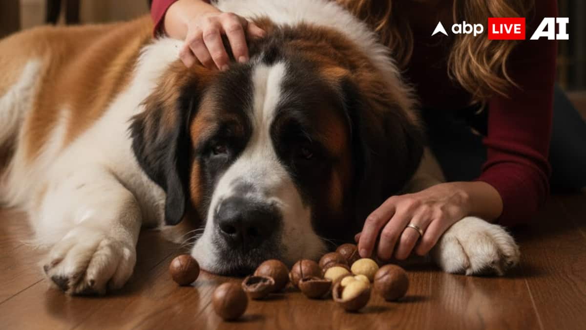 (Image Source: ABPLIVE AI)