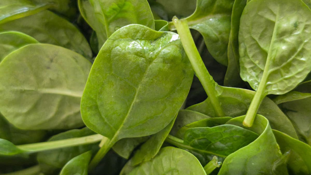 10 Foods That Naturally Cleanse Your Body