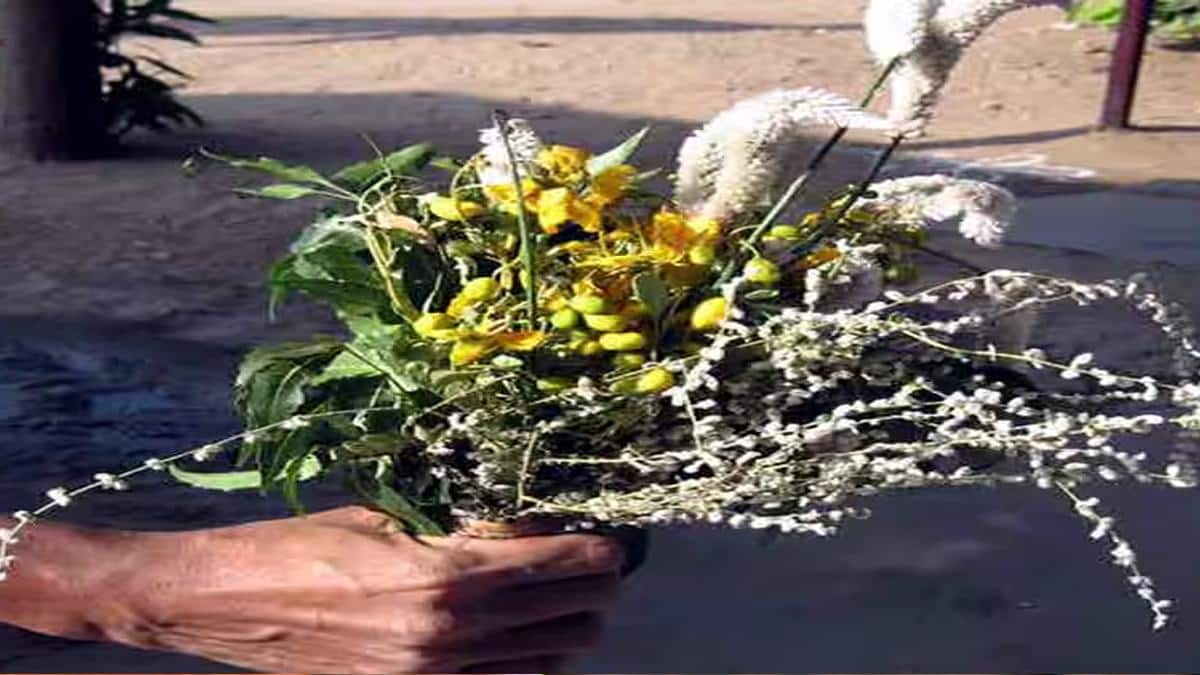 போகி பண்டிகை: காப்பு கட்டுவதன் ரகசியம்! ஏன் கொண்டாட வேண்டும்? அறியாத தகவல்கள்!