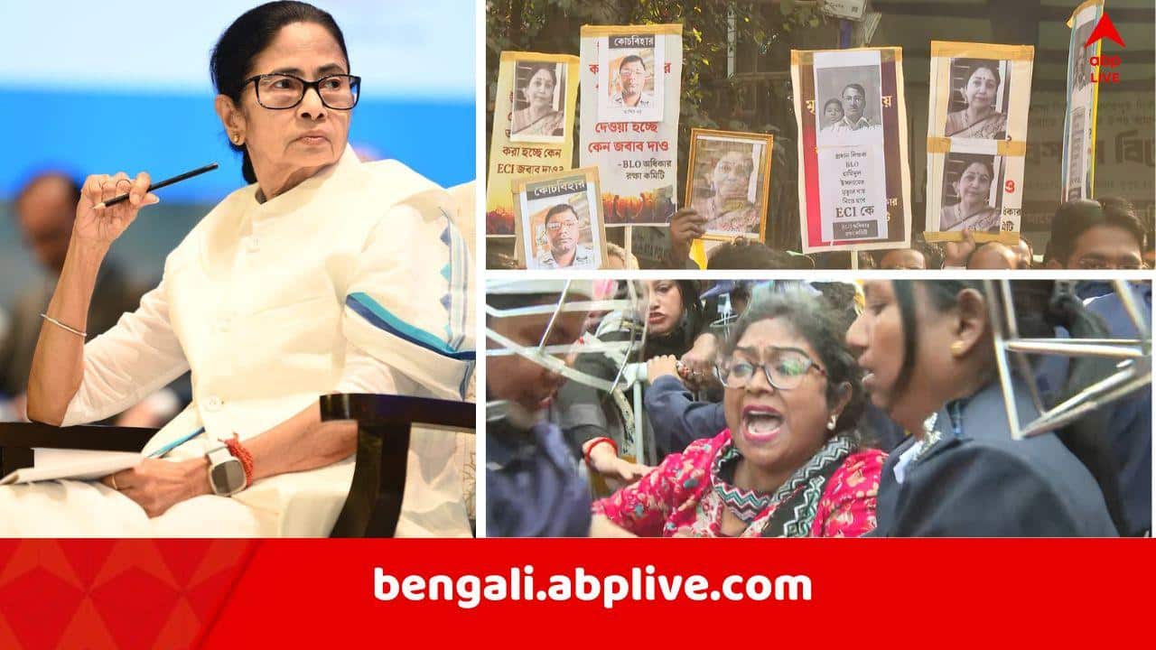 Bengal SIR Row: 'আপনি একদিকে চিঠি দিচ্ছেন জ্ঞানেশ কুমারকে, করছেন উল্টো' ! SIR-নিয়ে দ্বিচারিতার অভিযোগে মুখ্যমন্ত্রীকে BLO ঐক্য মঞ্চের চিঠি