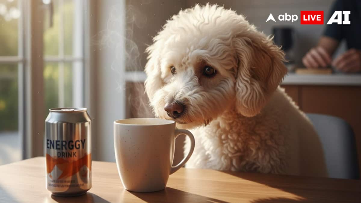 (Image Source: ABPLIVE AI)