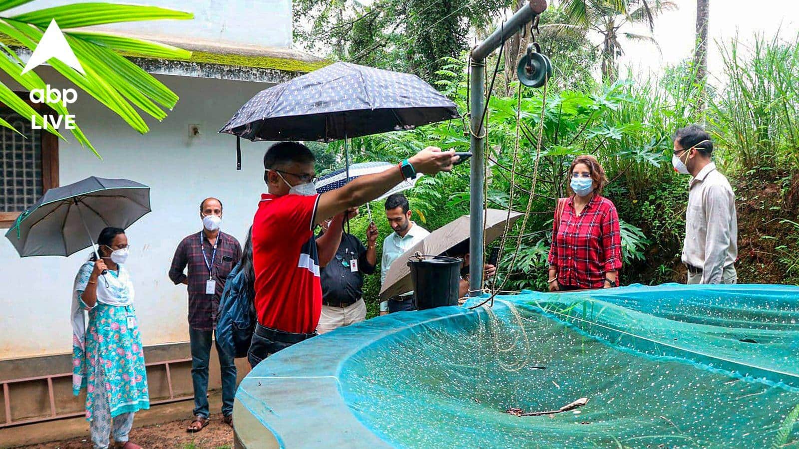 Nipah Virus Precaution: ভয় ধরাচ্ছে নিপা ভাইরাস, বাঁচতে কী সাবধানতা নেবেন? কী বলছেন চিকিৎসক?