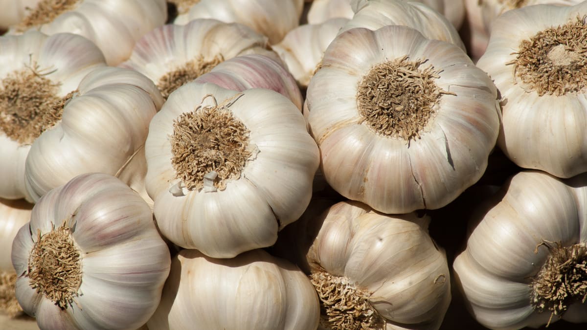 10 Foods That Naturally Cleanse Your Body