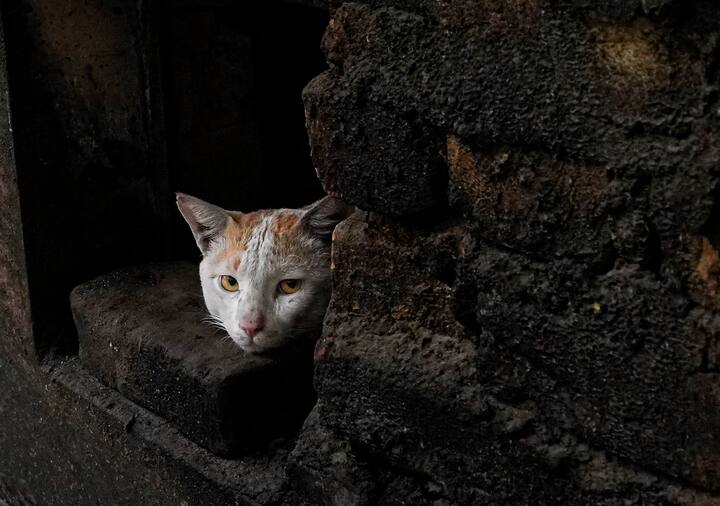 পৌষ সংক্রান্তি ও মাঘের শুরুতে পশ্চিমবঙ্গে জাঁকিয়ে শীত পড়ার পূর্বাভাস, এমনটাই জানিয়েছে আবহাওয়া দফতর। আজ কলকাতার সর্বনিম্ন তাপমাত্রা ১২.৪ ডিগ্রি সেলসিয়াস, যা গতকালের থেকে ২ ডিগ্রি মতো কম।