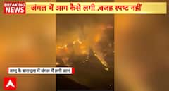 Breaking News: Uri Forests Engulfed in Flames, Baramulla Fire Causes Massive Damage